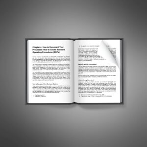Business Systemization
