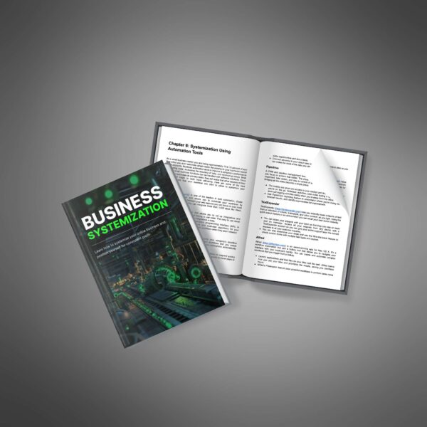 Business Systemization