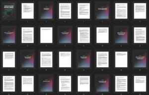 Organizing Excellence