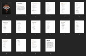 The Niche Revenue Architecture Planner
