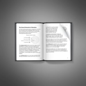Productivity-with-ADHD-Prompts
